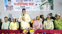 নিরাপত্তা প্রতিষ্ঠায় দাঁড়িপাল্লায় ভোট দিন : হাবিবুর রহমান